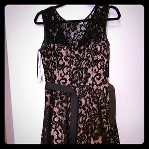 Cache Lace Dress